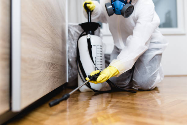 Reliable Dumas, AR Pest Control Solutions