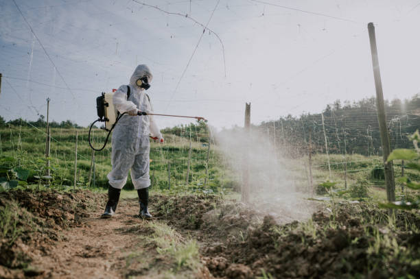 Best Pest Control for Homes  in Dumas, AR