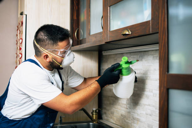 Best Best Pest Control Companies  in Dumas, AR