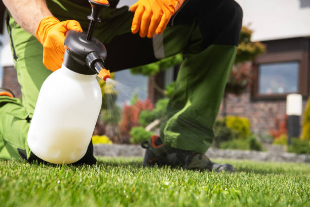 Best Commercial Pest Control Services  in Dumas, AR