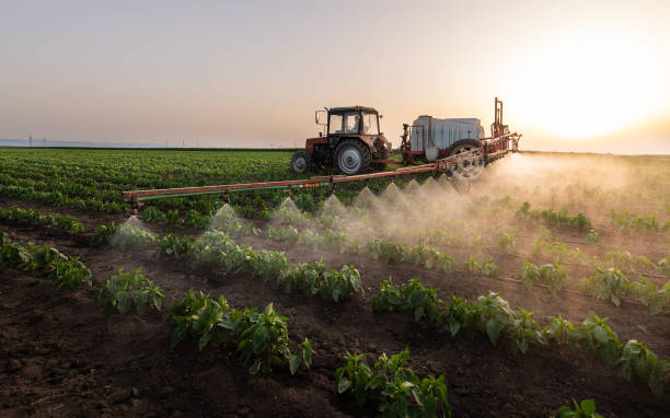 Best Pest Prevention Services  in Dumas, AR